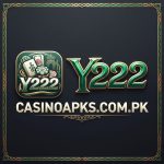 Y222 Game